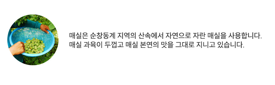 매실수확정보
